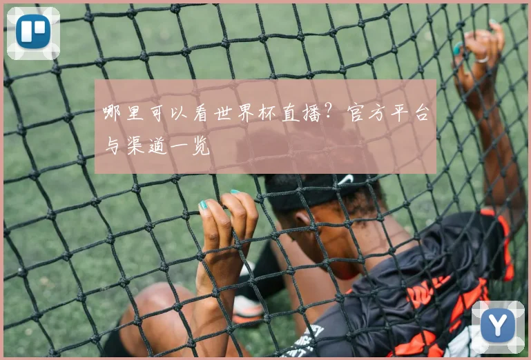 哪里可以看世界杯直播？官方平台与渠道一览