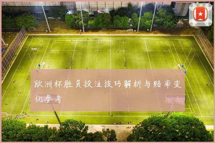 欧洲杯胜负投注技巧解析与赔率变化参考
