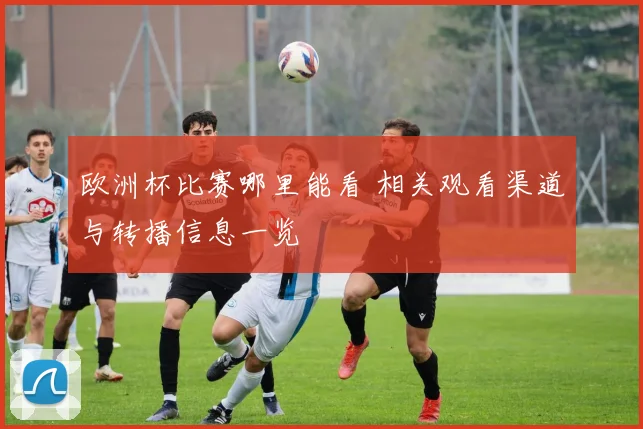 欧洲杯比赛哪里能看 相关观看渠道与转播信息一览
